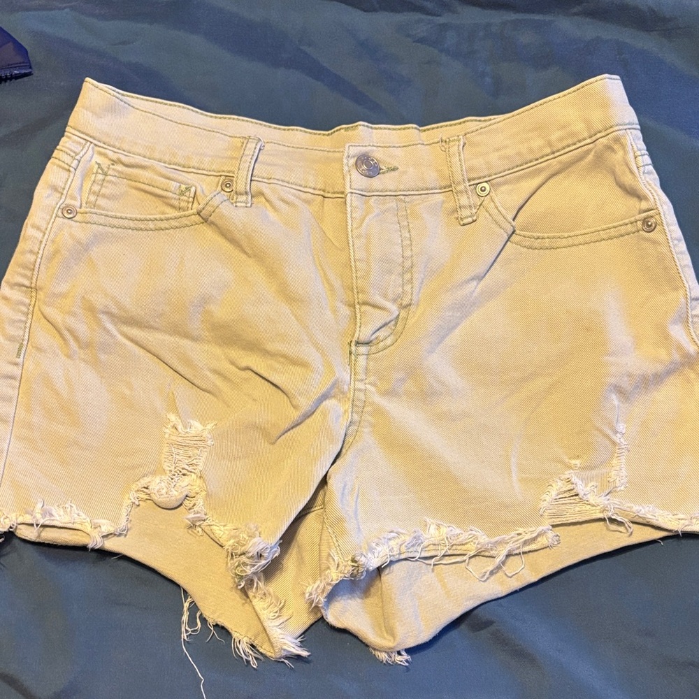 Stylish green Women's Shorts